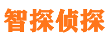 北关侦探公司